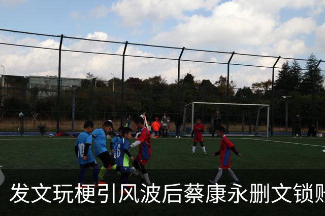 发文玩梗引风波后蔡康永删文锁账号 谢寒冰开酸：现在瞧不起他！
