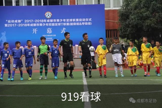919看球公司简介展示图